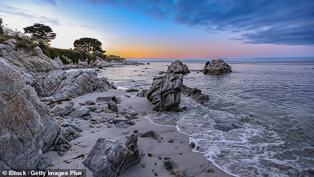 A mysterious clicking sound detected thousands of feet below the ocean's surface off the coast of Central California has provided valuable insights into Monterey Bay's elusive sperm whale population