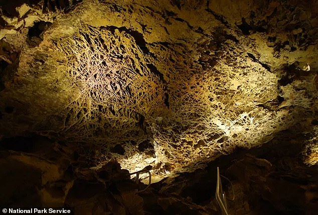 NASA's planetary geologists suspect the webs are a giant version of a type of crystallized minerals known as a 