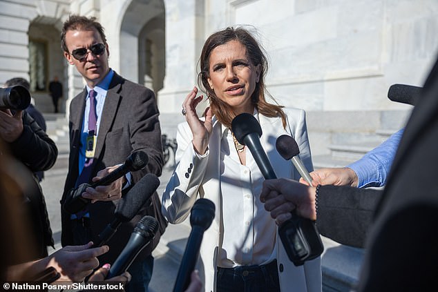 Nancy Mace fired back at a transgender activist after confronting the congresswoman about her campaign against allowing transgender women to use women's restrooms