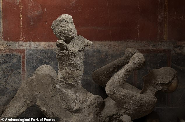 Investigators discovered four Pompeian victims in a house where they were all believed to be part of one family. They initially thought two of the bodies were a woman with a child on her hip (pictured), but DNA testing revealed the adult was an unrelated man.