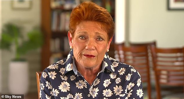 One Nation leader Paul Hanson has revealed she was retiring from the world after losing a defamation case brought by Greens senator Mehreen Faruqi