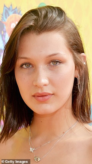 Bella Hadid pictured in 2014