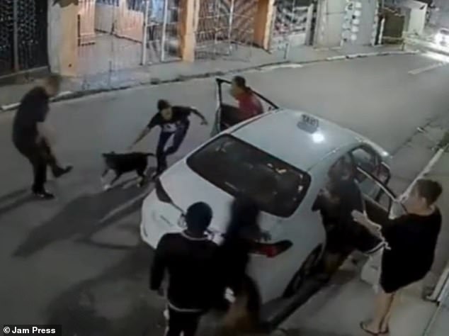 Surveillance footage captured the moment a quick-thinking mother from Brazil unleashed her pit bull on three thieves who attacked her family