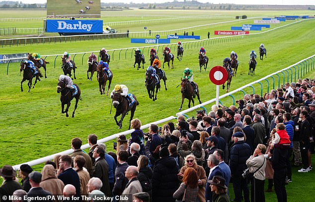 Alphonse Le Grande and Jamie Powell raced home to win the Cesarewitch at Newmarket last month