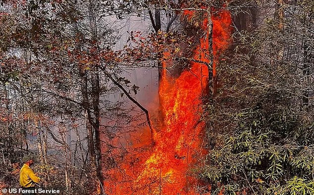 A red flag warning has been issued for several states on the East Coast as strong winds due to unusually warm weather and dry and windy conditions batter the region.