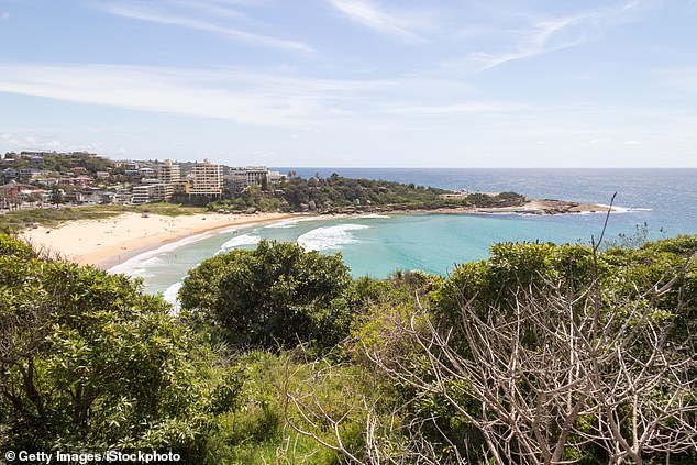 Mr Plummer's body was found by a lifeguard at the foot of a cliff on Freshwater beach (pictured in file image)