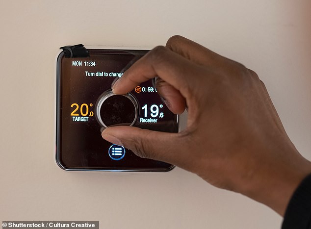 It's something millions of households argue about every winter: what temperature should you set the thermostat to in your home? Now a survey of 2,000 Brits has settled the debate once and for all (stock image)