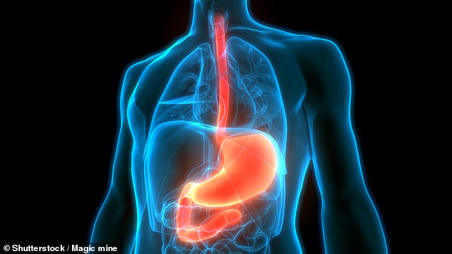 Data from the charity Cancer Research UK shows that the number of cases of gallbladder cancer in Britons aged 24 to 49 has risen by 84 percent since the early 1990s. Depiction of the human digestive system of which the gallbladder is a part