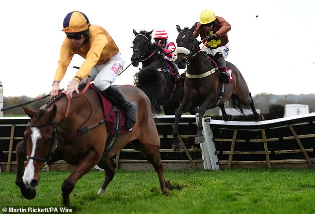 Mail Sport's racing expert Robin Goodfellow gives his tips for Thursday's meetings