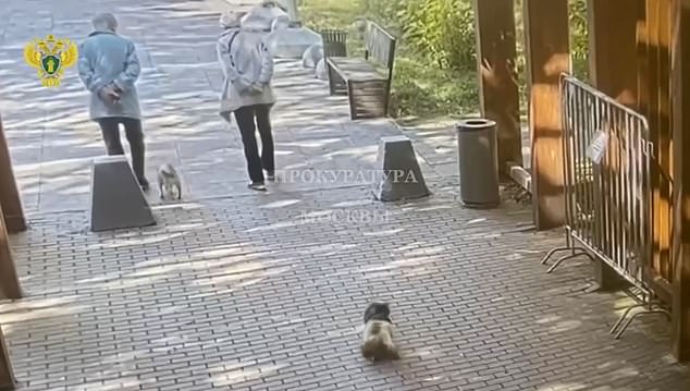 Gruesome CCTV footage shows a roller skater dragging a pensioner to his death after she became entangled in her dog's leash. This frame shows the moments before the tragedy occurred