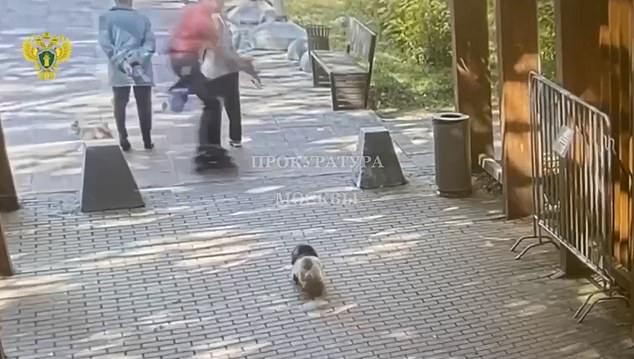 The roller skater, named Igor Berin, then races past the women and ends up in the long lead