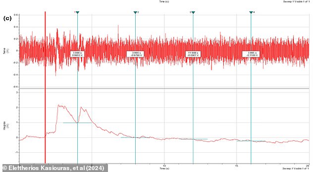 This graph shows the spike in brain activity that occurs when acetic acid is applied to the leg of a shore crab. The red vertical line indicates the moment the acid was applied