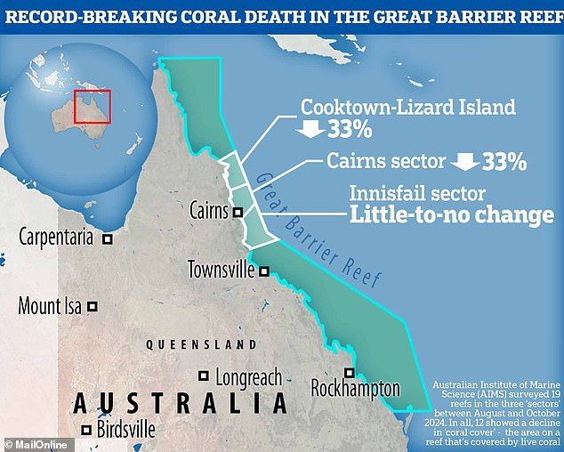 AIMS surveyed 19 reefs in three geographic 'sectors' along the northeast: Cooktown-Lizard Island, Cairns and Innisfail. Over the period, 12 out of 19 people experienced a decrease in 'coral cover' – the area on a reef covered in living coral