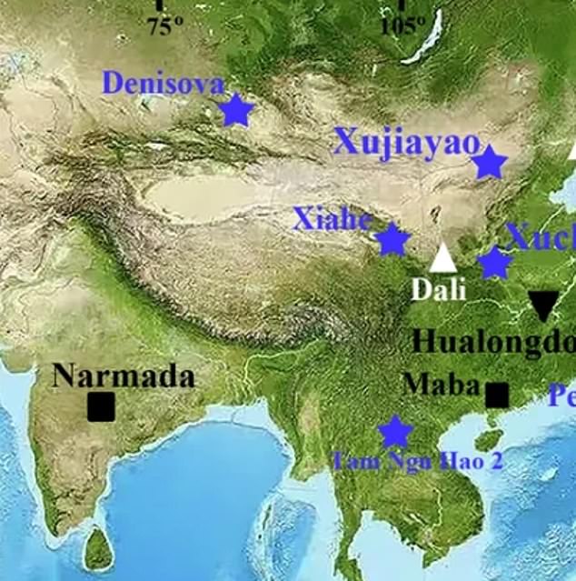 Researchers have linked fossils found in China in the 1970s to a new human species called homo juluensis