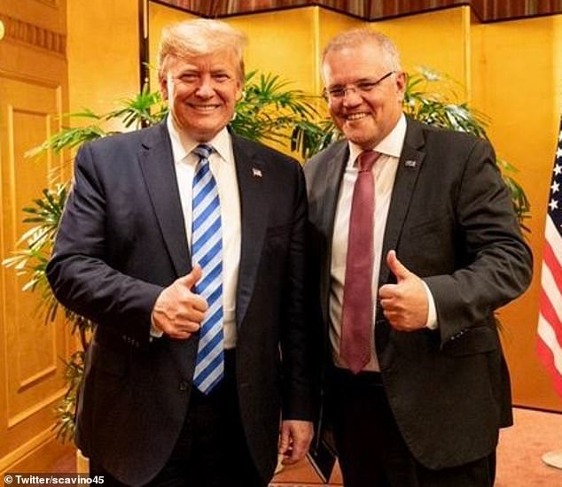 Trump and Scott Morrison got along well when the couple was both in office (pictured together)