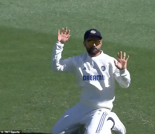 Virat Kohli held his hands up after dropping a catch against Australia in the first Test