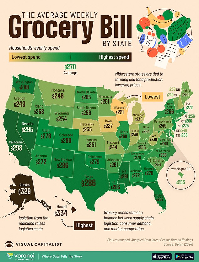 Visual Capitalist, an online publication that produces data-driven content, used data from the Census Bureau to map the average amount spent on groceries for a week in each state