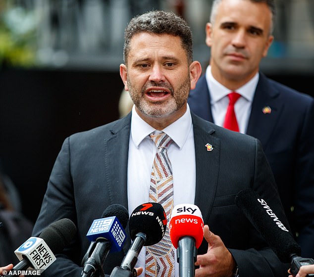 SA Aboriginal Affairs Minister Kyam Maher (pictured) raised concerns in Parliament on Thursday after four SA Voice members resigned