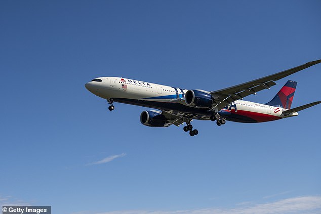 The unidentified woman is believed to have boarded Delta Airlines Flight 264 on Tuesday evening after passing through two security checkpoints at New York's John F. Kennedy International Airport - despite not having a boarding pass (file image from a Delta flight)