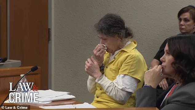 Susan Lorincz snivels as shes sentenced for shooting dead black