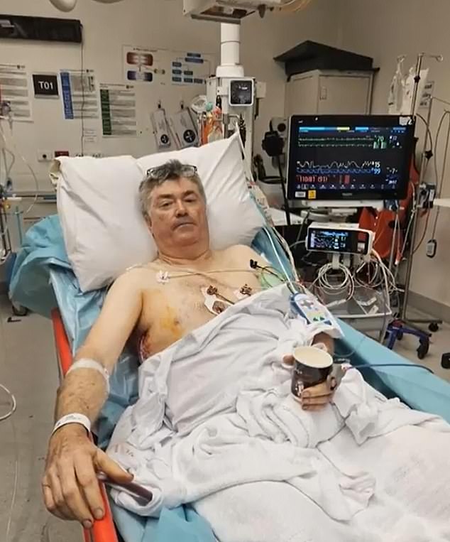 Chris Cook (pictured) is recovering in hospital after reportedly being stabbed three times