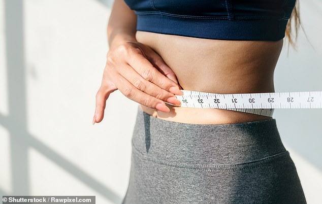 Meal frequency will not significantly affect your basal metabolic rate or total calorie expenditure if your total calorie intake remains the same (stock image)