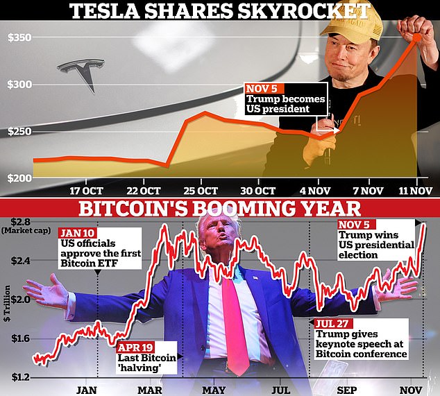 The 'Bro-conomy' – including crypto and Elon Musk's company Tesla – is one of the biggest beneficiaries of Donald Trump's election victory