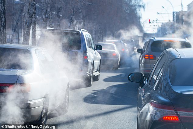 It comes amid fears the vehicles were causing increased air pollution across the UK (file image)