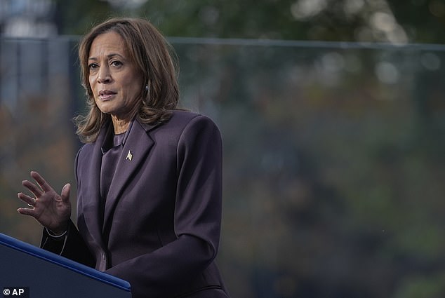 Vice President Kamala Harris delivers a concession speech for the 2024 presidential election