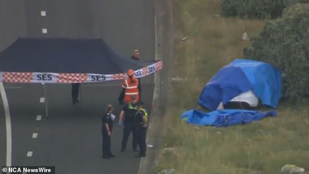 The driver was pronounced dead at the scene. Image: 7 NEWS.