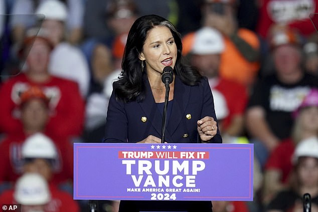 Donald Trump has nominated former Democratic presidential candidate Tulsi Gabbard as his Director of National Intelligence