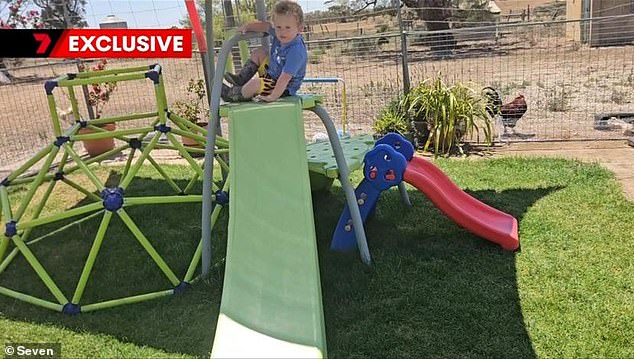 Ezra was sitting on his playground equipment (pictured) in the backyard when he was bitten on the foot