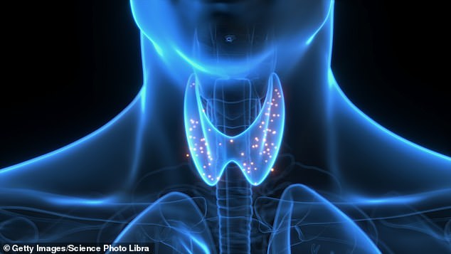 About one in five Britons suffer from an underactive thyroid, caused by problems with the butterfly-shaped gland in the neck that regulates functions from digestion to heart rate and mood.