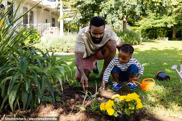 Officials warned of the infection melioidosis, which spreads through bacteria lurking in gardens and has killed five Australians in the past 12 months (stock image)