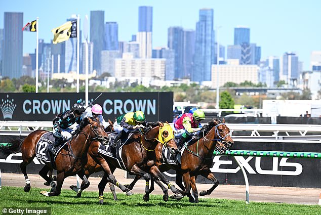 The Welcome to Country took place prior to race 7 (photo, winner Robbie Dolan riding Knight's Choice in race 7)