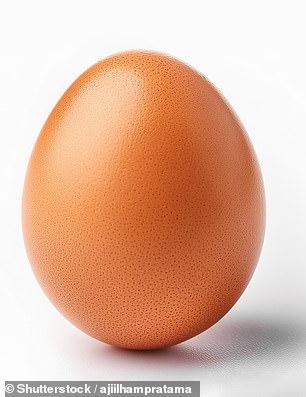 What came first: the chicken or the egg?