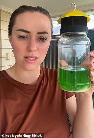 Keeley Starling raves about 'genius' $11.59 fly trap from Bunnings that's 'perfect' for eliminating flies over summer