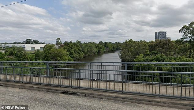 Following reports of welfare benefits, police discovered on September 11, 2023 that a woman had fallen from the Light Horse Bridge (pictured) in Liverpool.