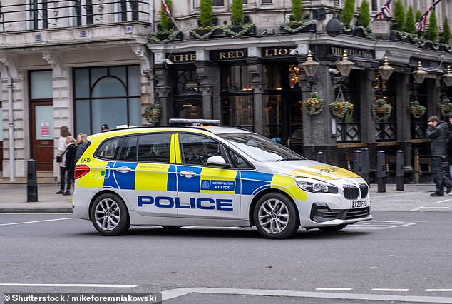 Following the couple's accidental internet search, several black SUVs stopped at the couple's home to ensure they did not pose a terrorist threat (File Image)