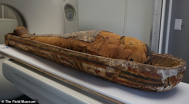 The scans created 3D images of Chenet-aa's body next to a second mummy named Harwa, who was also considered a high-status person at the time.