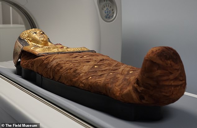 New CT scans of Lady Chenet-aa have allowed researchers to gain insight into her age, diet and how she was embalmed