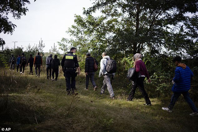 FILE PHOTO: German police officer escorts a group of migrants who have illegally crossed the border from Poland into Germany