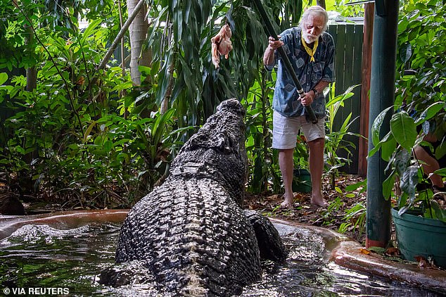 George Craig had a special relationship with a three-legged, man-eating beast called Cassius, which he kept at his wildlife park called Marineland Melanesia Crocodile Habitat on Green Island, off the coast of Cairns, Queensland.