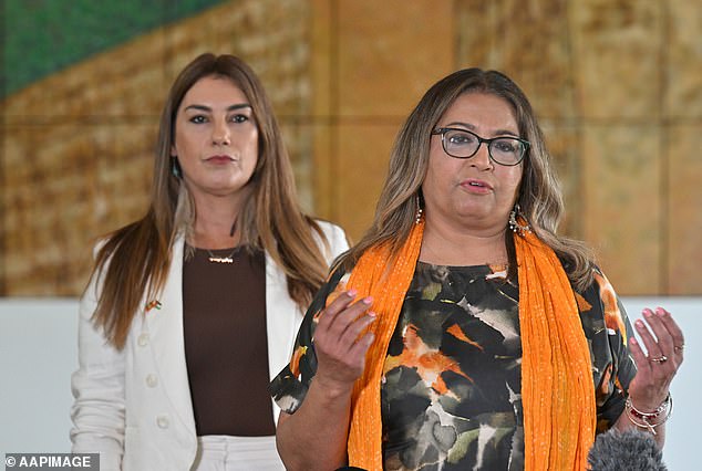 The comments were prompted by Greens Senator Mehreen Faruqi 'going back to Pakistan' in an earlier post on X.