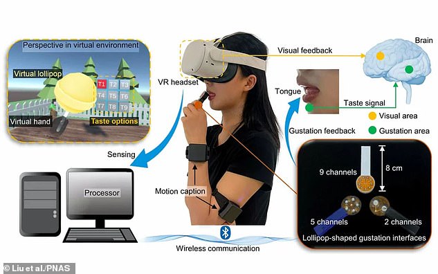 When an electric current is applied to the gels, the flavor chemicals rise to the surface and mix with the user's saliva to create a taste sensation. The scientists synchronized these currents with virtual reality, so that users could taste things in the digital world