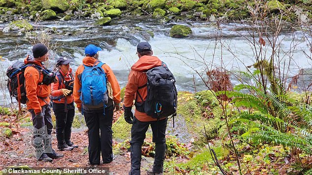 Search efforts across a 100-mile area of ​​Salmon-Huckleberry Wilderness lasted more than 800 hours