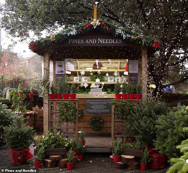 With Christmas just around the corner, now is the perfect time to pick out your tree. There are more than 30 Pines and Needles stores in London