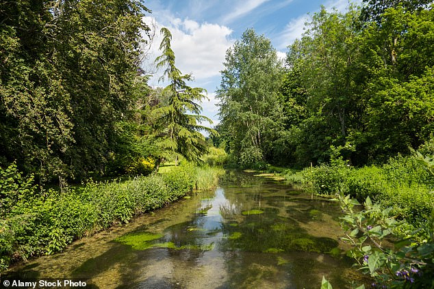 The River Test (pictured in Overton, Hampshire) was one of the waterways with high levels of neonicotinoids