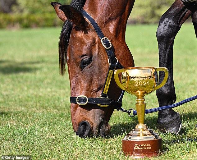 Frank Grulli, 75, has been feuding with TAB since Melbourne Cup day when he won a $7000 jackpot on the winner Knight's Choice (pictured), which had odds of 151 to 1.