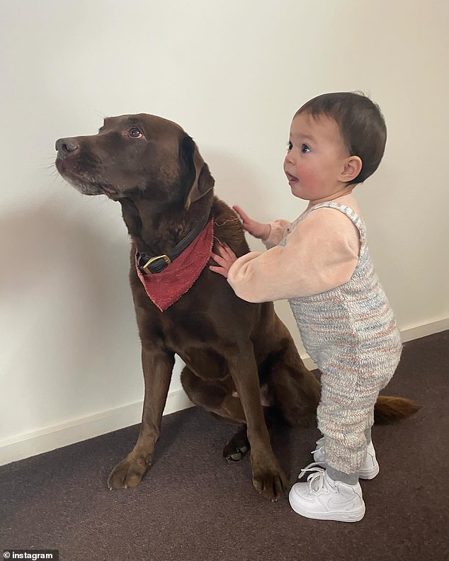 “Oh Hendo. “For over a third of my life I've woken up on our walks and this morning you weren't there,” he wrote. Pictured with Sam's young daughter